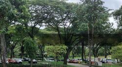Blk 316A Teck Ghee Vista (Ang Mo Kio), HDB 4 Rooms #455101381